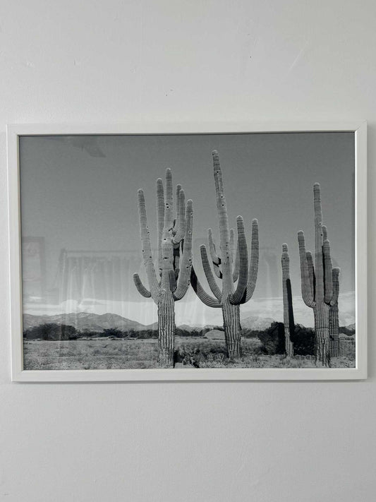 Cactus Print - Framed A2