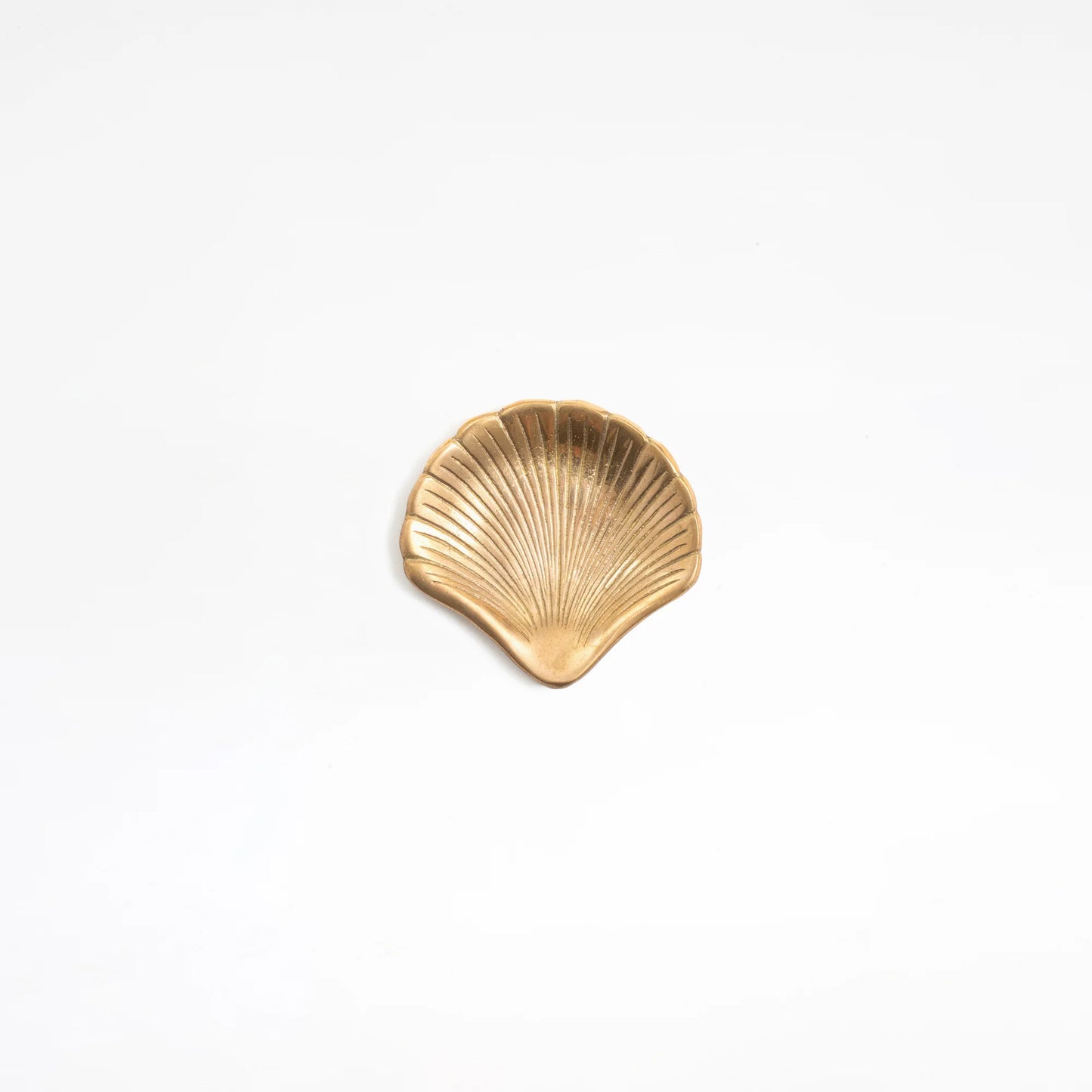 Brass Clam Shell Dish