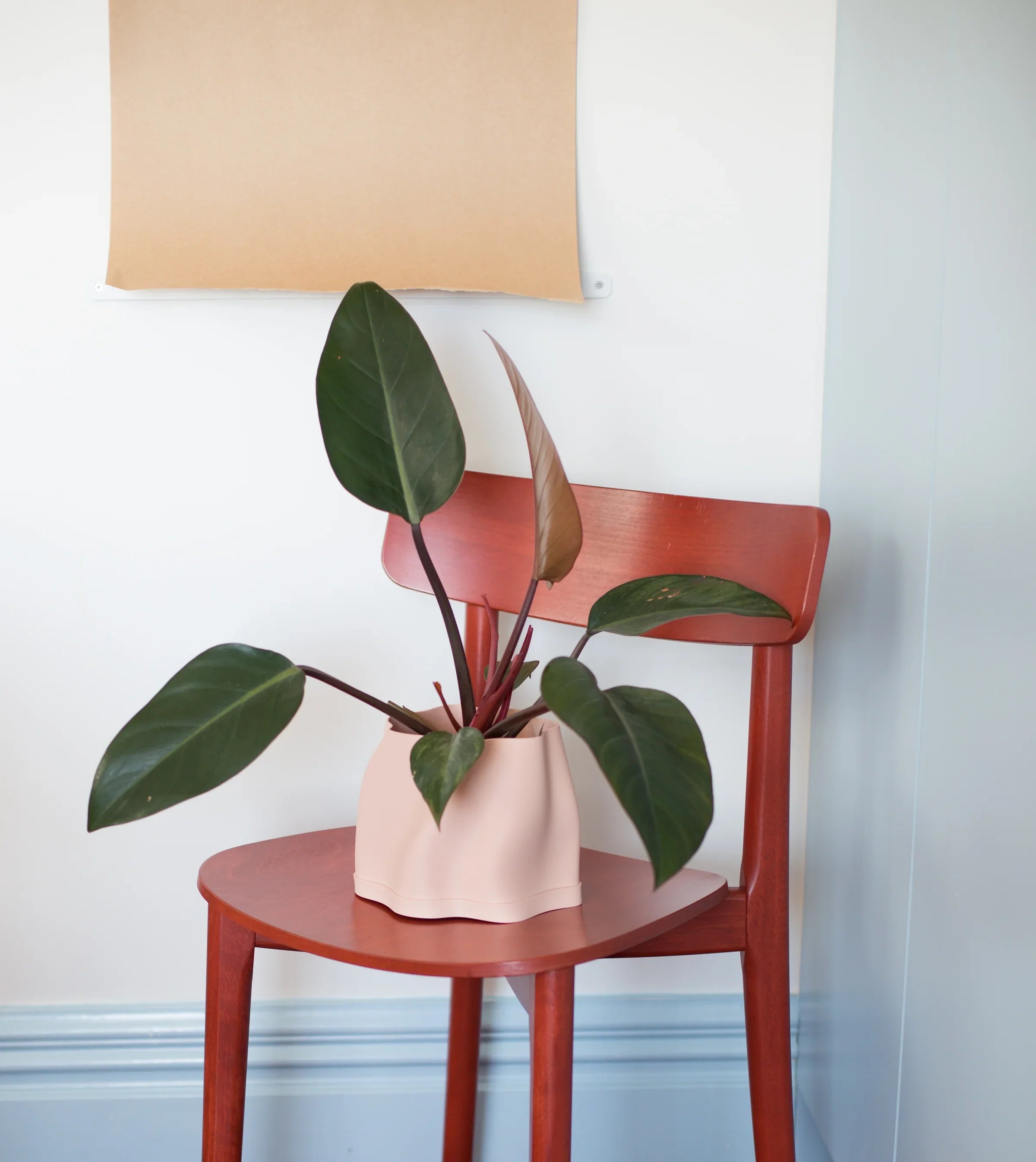 Homeware & Furniture