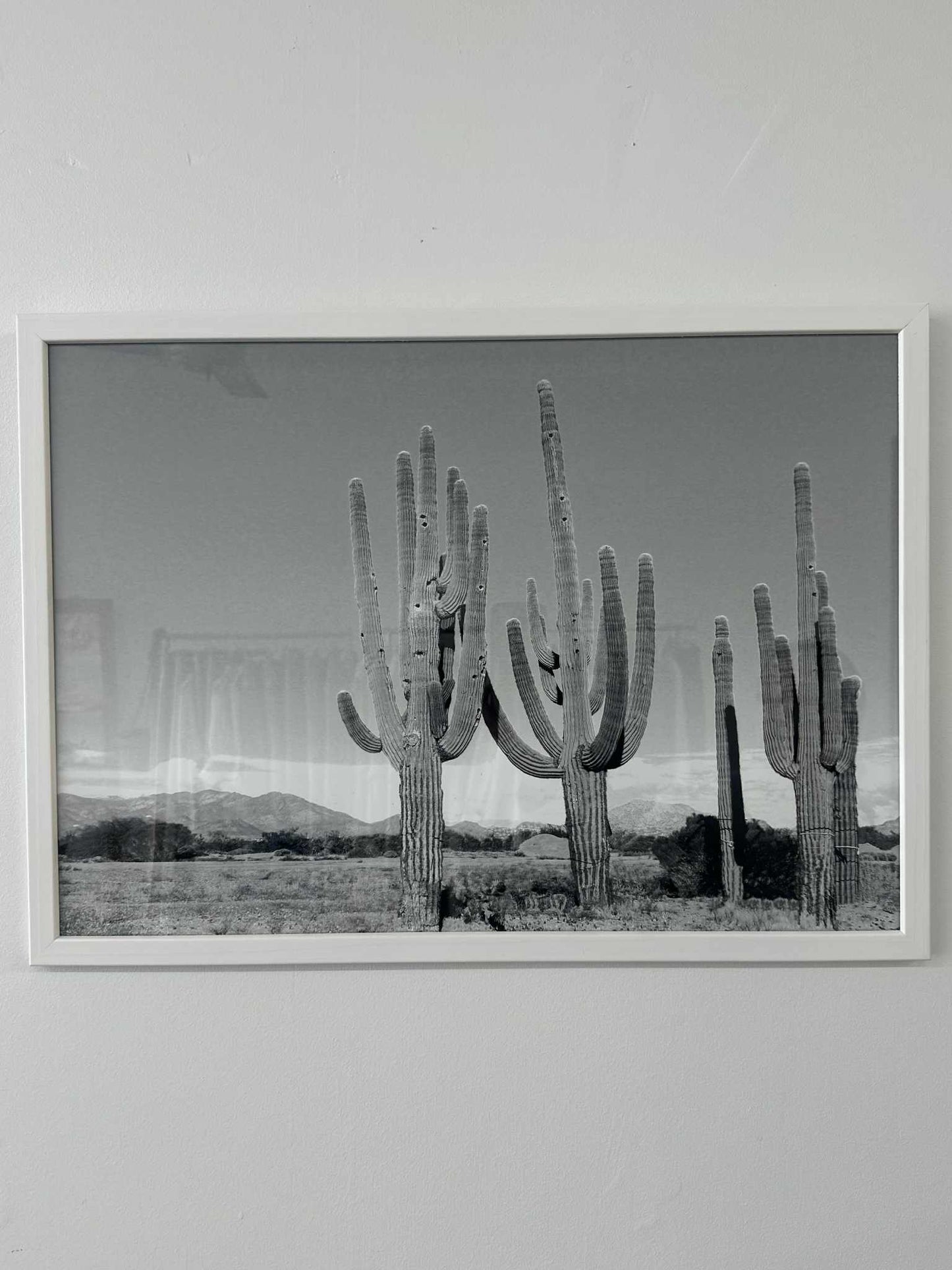 Cactus Print - Framed A2