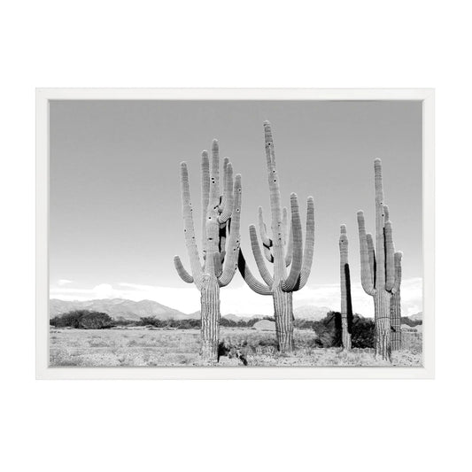 Cactus Print - White Frame