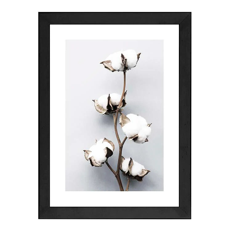 Cotton Flowers - Black Frame