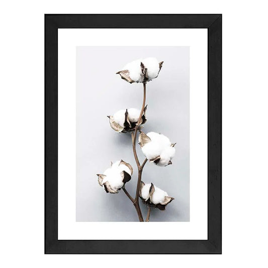Cotton Flowers - Black Frame